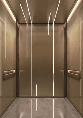 1000 کیلوگرم آسانسور مسافری ساختمان