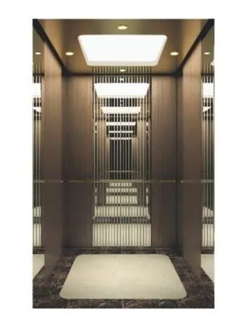 Passenger Elevator With Small Machine Room